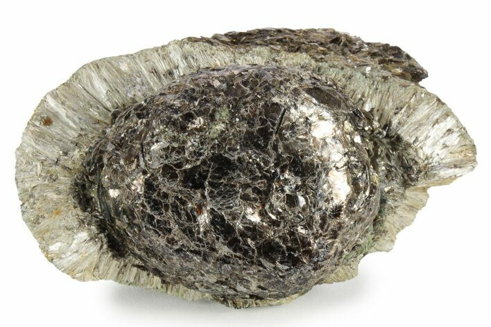 Fibrous Anthophyllite on Phlogopite (Hermanov Sphere) #239628